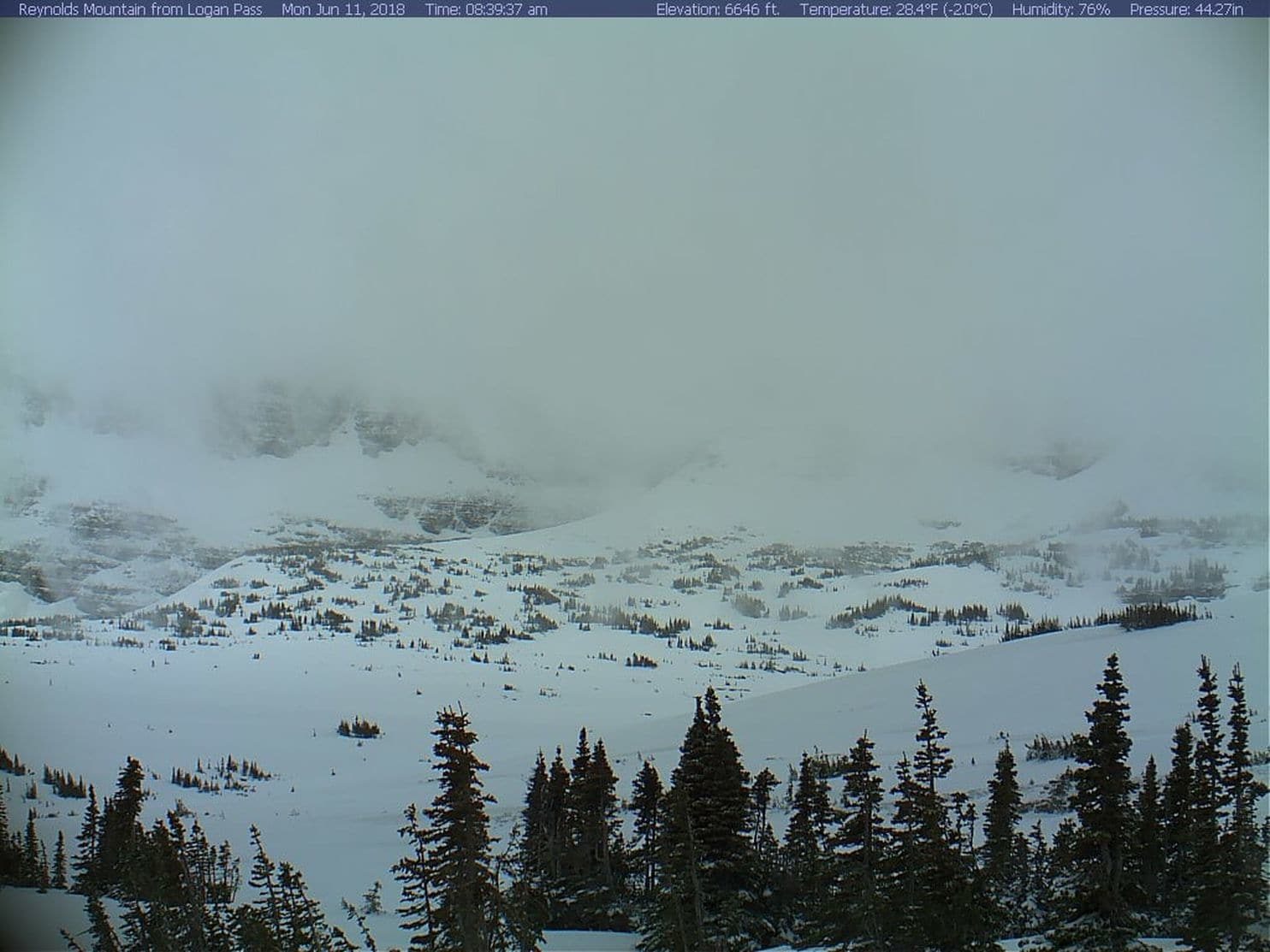 Logan Pass at Glacier National Park in Montana.