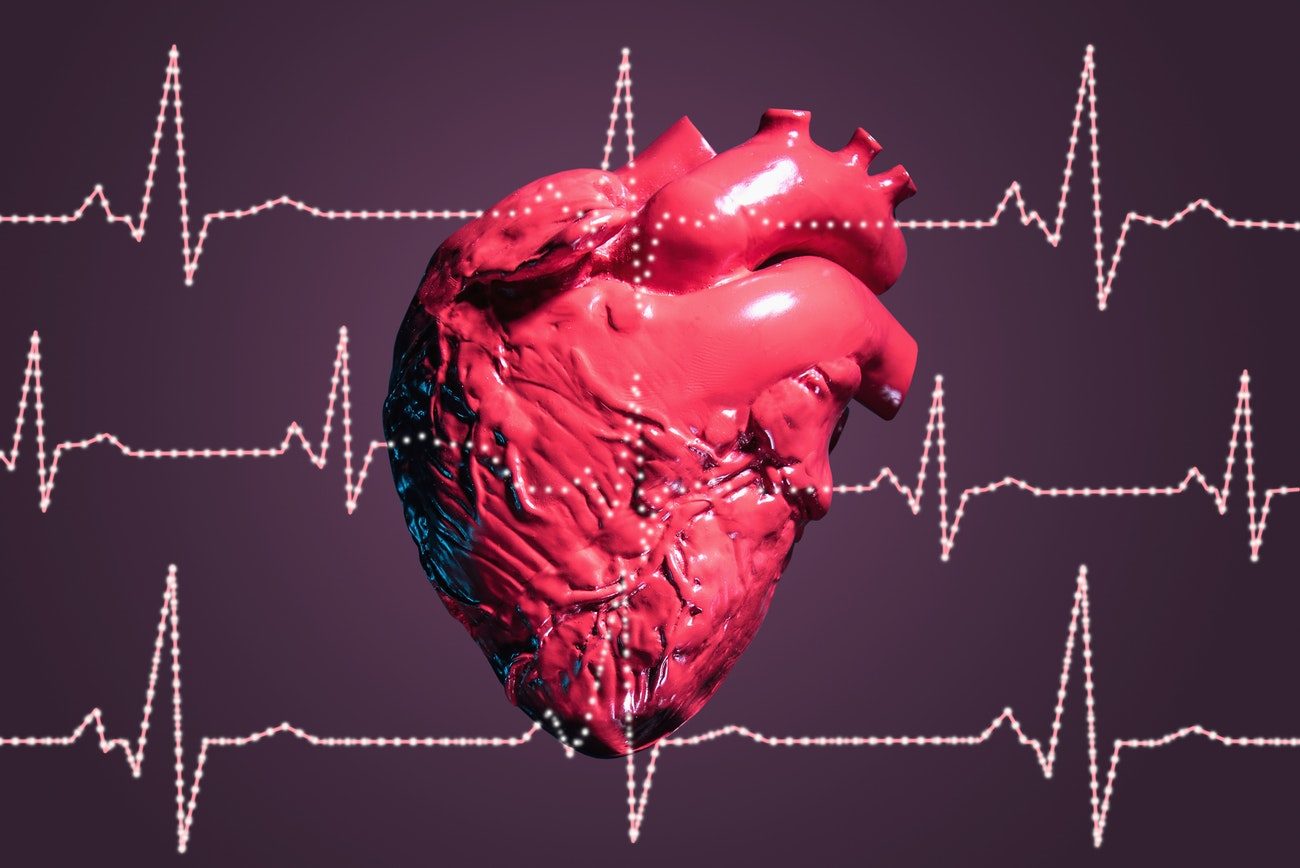 Heart