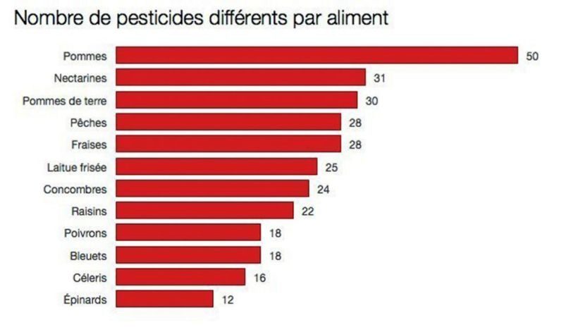 legumes