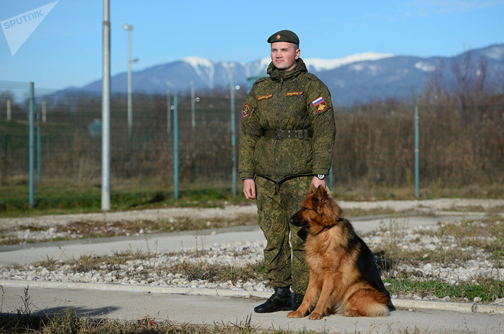 chien