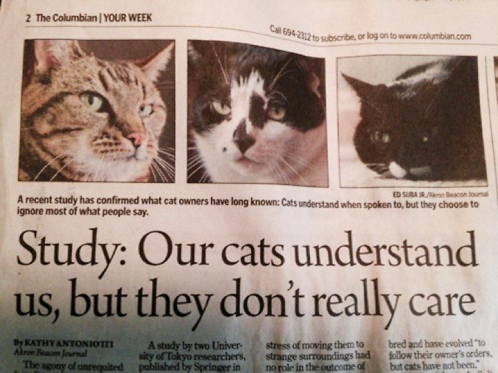 Cliquer pour agrandir Our cats understand us