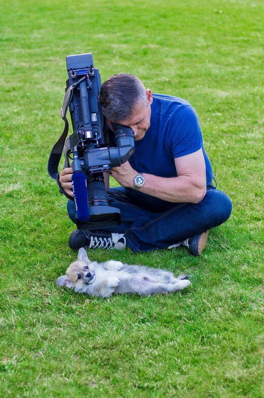 Cliquer pour agrandir Camera, dog