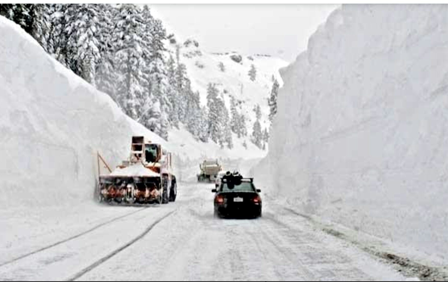 Squaw Valley Alpine Meadows