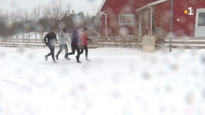 saint-pierre et miquelon, neige