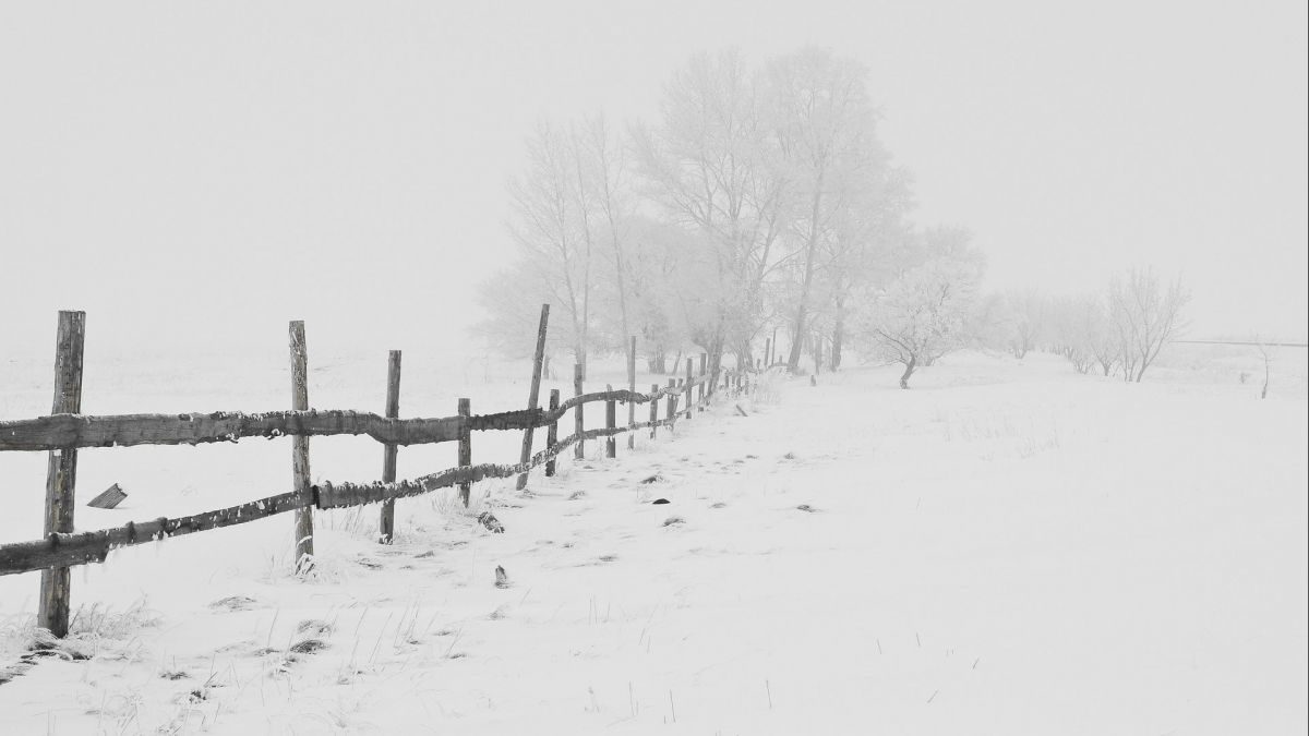 neige