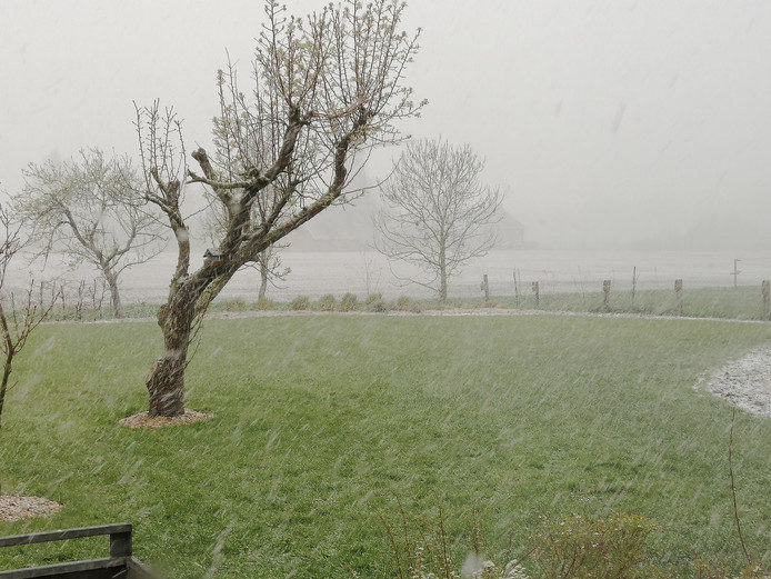 netherlands snow april
