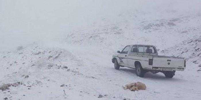 snow greece