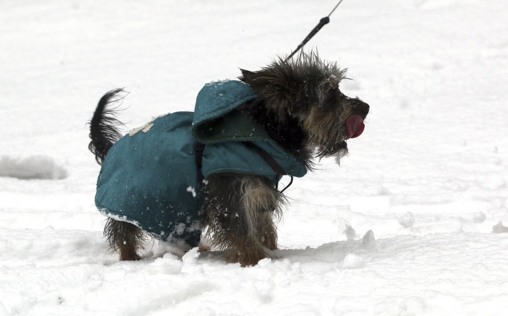 snow