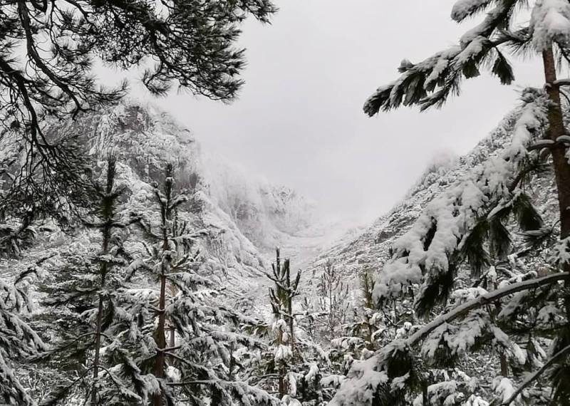 Corse, neige, 2019