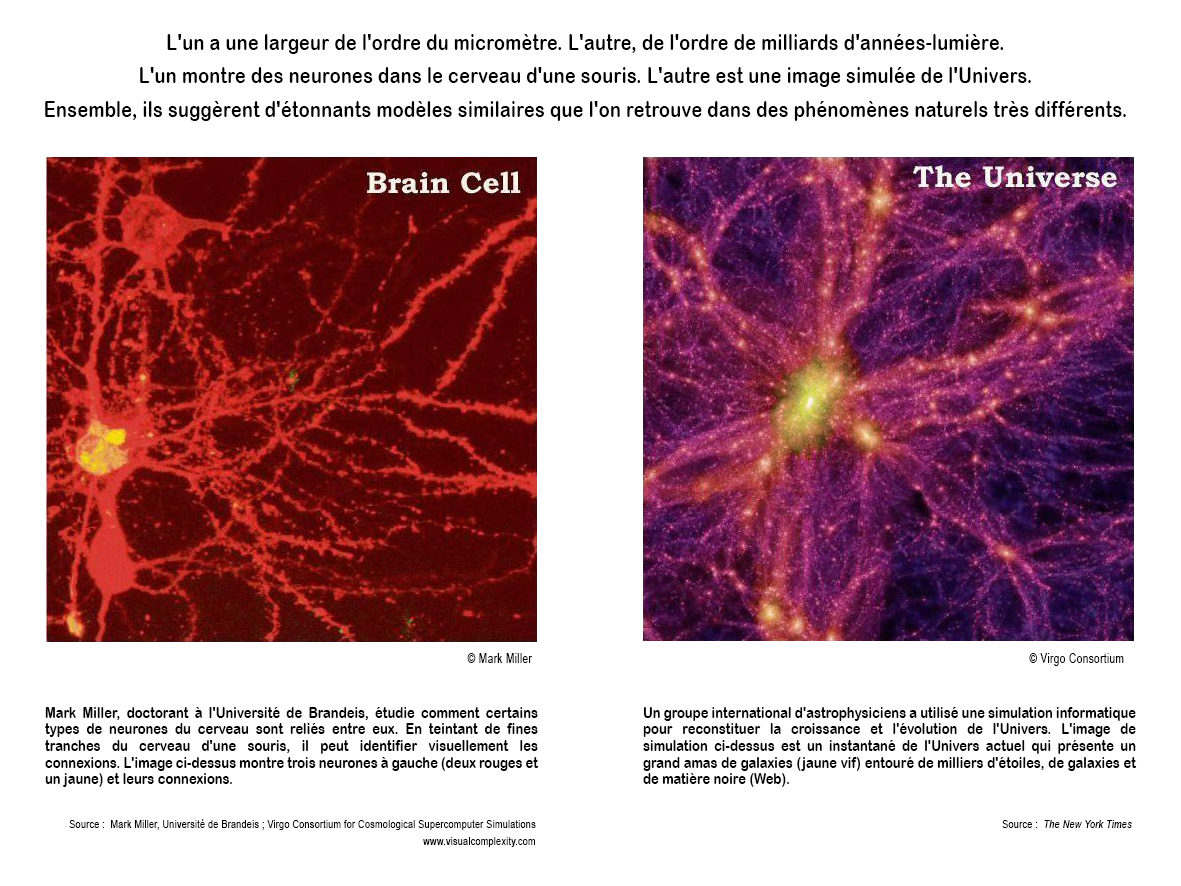 Comparatif visuel cerveau & Univers