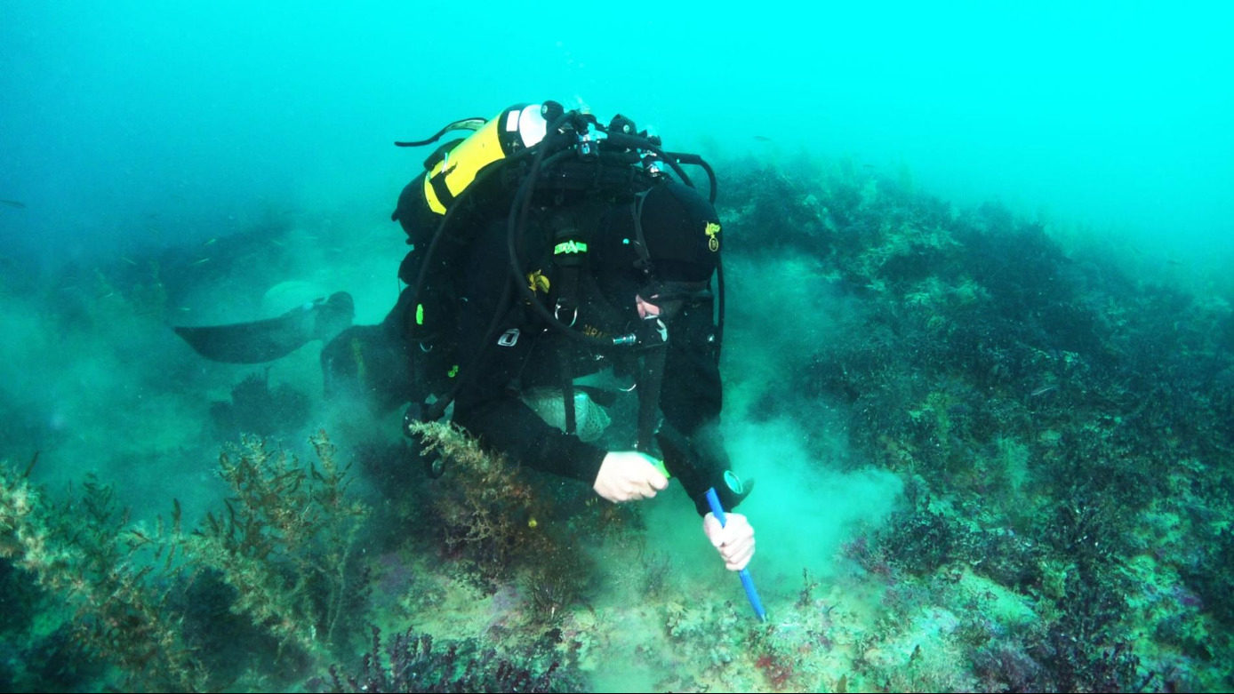 diver