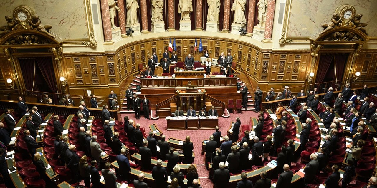 senat