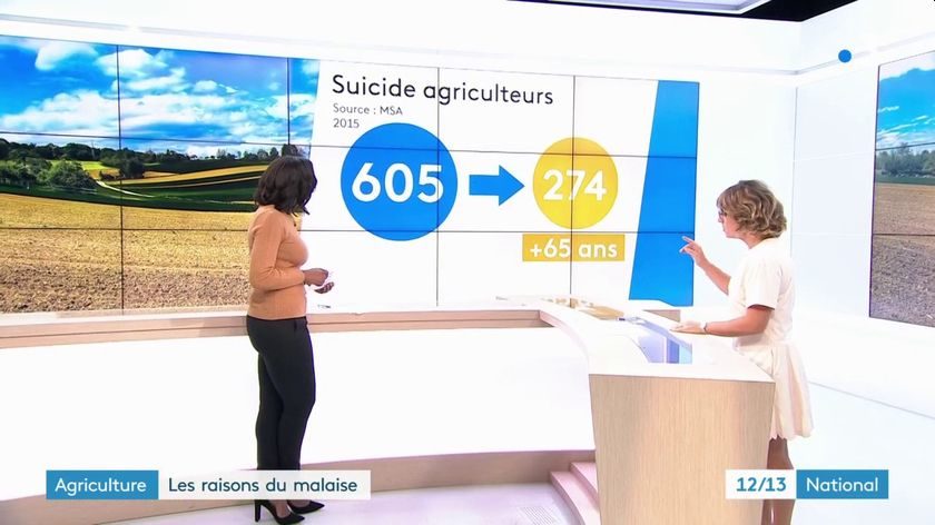 suicide des agriculteurs