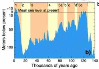 Niveau de la mer depuis 140 000 ans