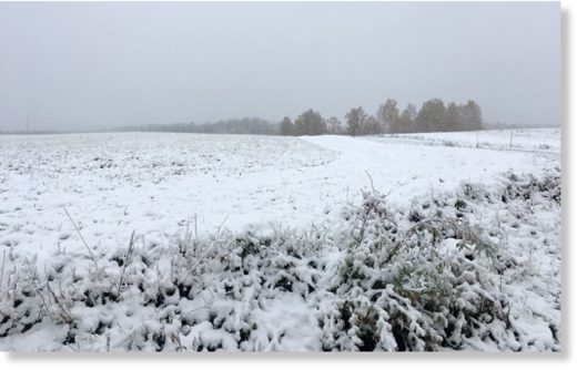 Friday morning in Tohmajärvi, North Karelia.