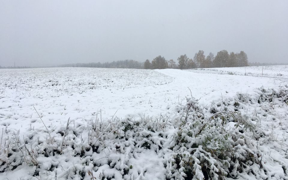 Friday morning in Tohmajärvi, North Karelia.