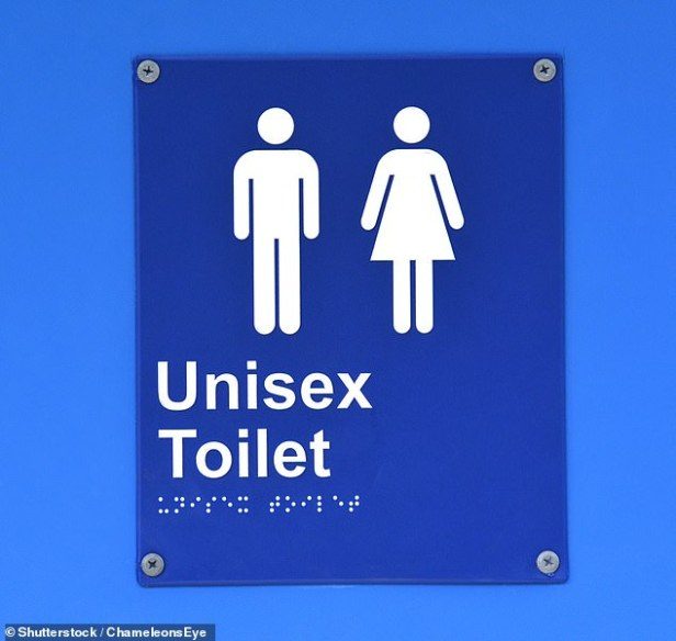 Cliquer pour agrandir Unsex Toilet