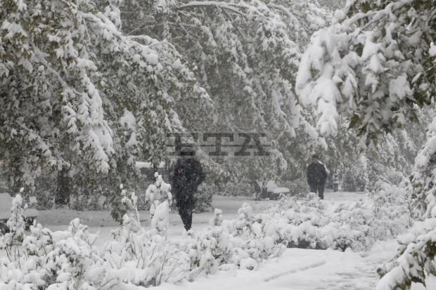 People walk in a park during snowfall in downtown Grozny, the capital of Chechnya