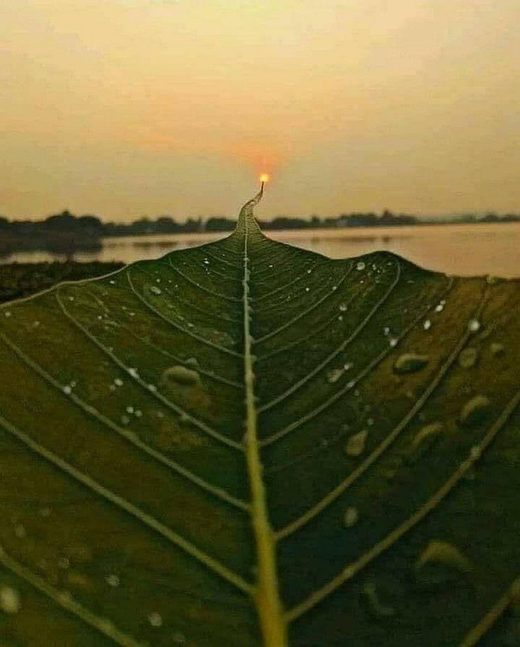 Vanishing point