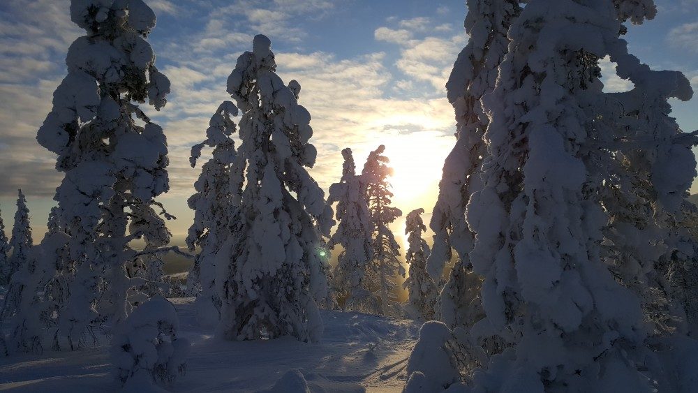 Snow covered Lapland.