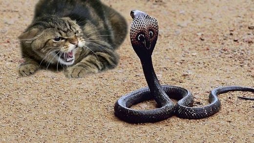 Who will strike whom?