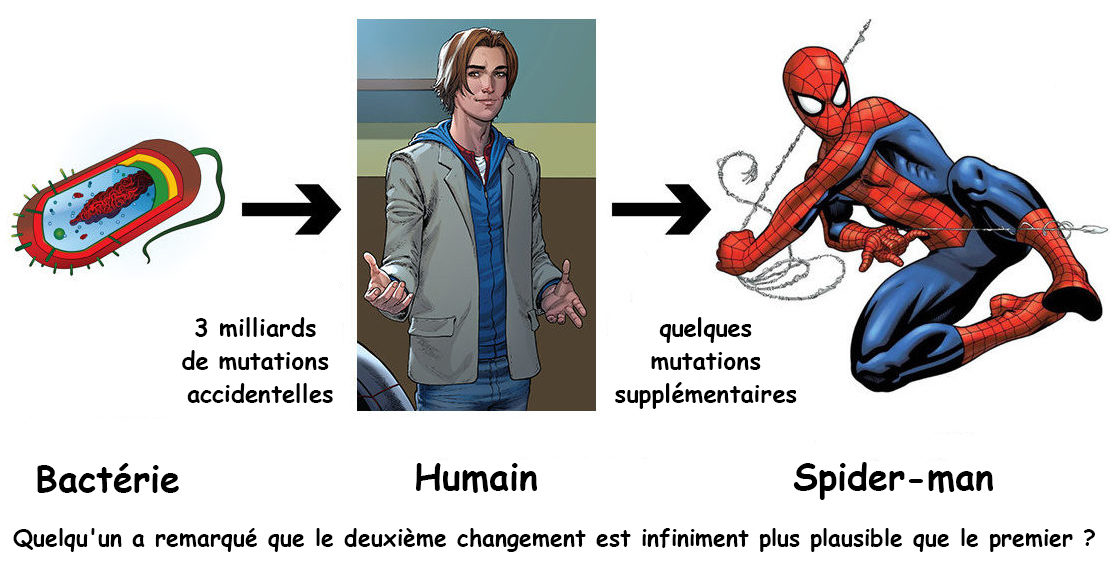 Evolution bactérie Spider-Man