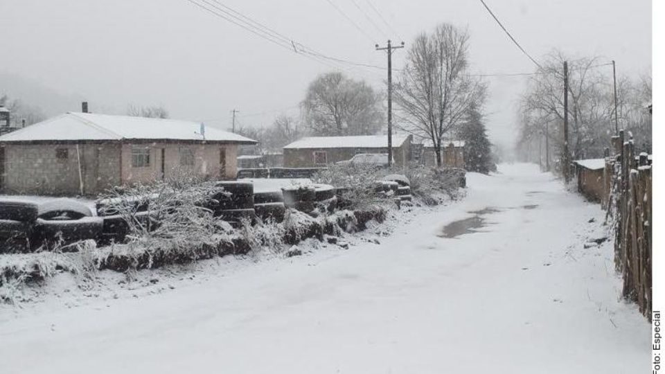 snow mexico