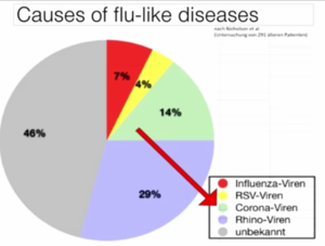 répartition virus flu-like
