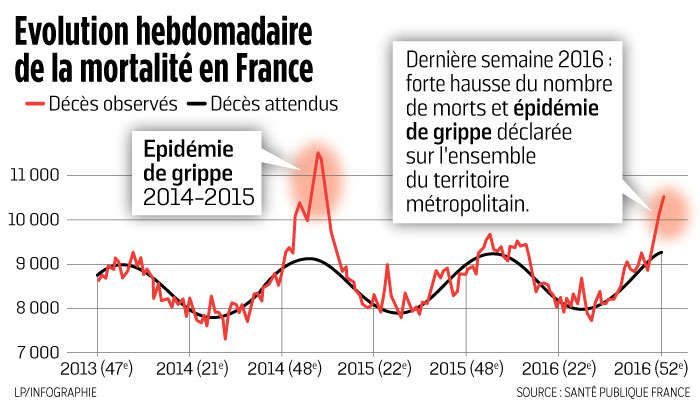 grippe,mortalité,France