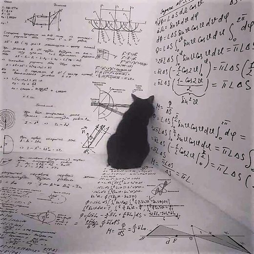 Schrodinger's cat plans its revenge