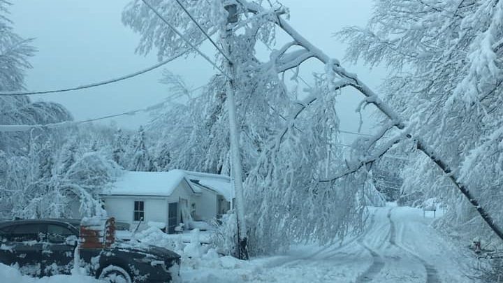 Photos taken by the Dover-Foxcroft police show fallen trees causing power outages in central Maine.