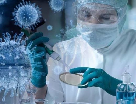 Covid-19 laboratoire