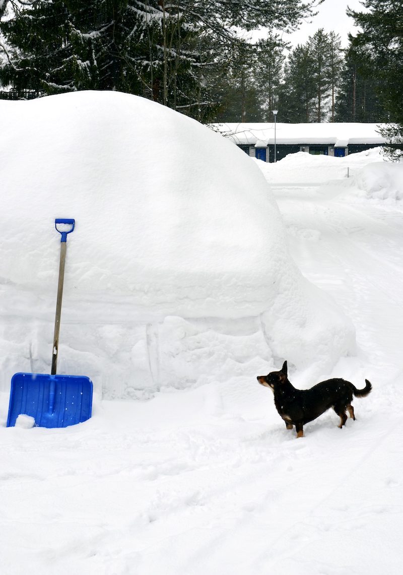 SNOW