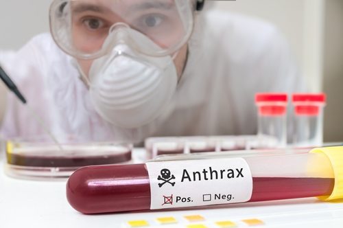 anthrax