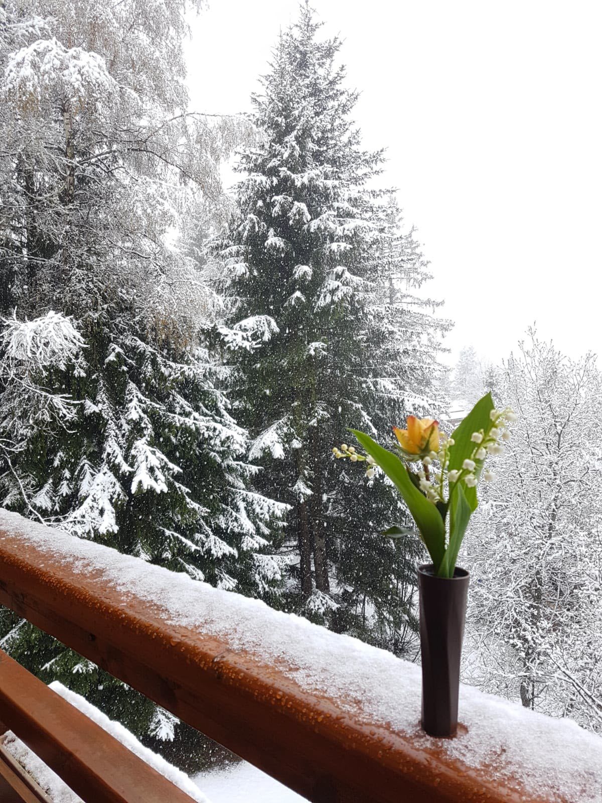 neige,Savoie,2020