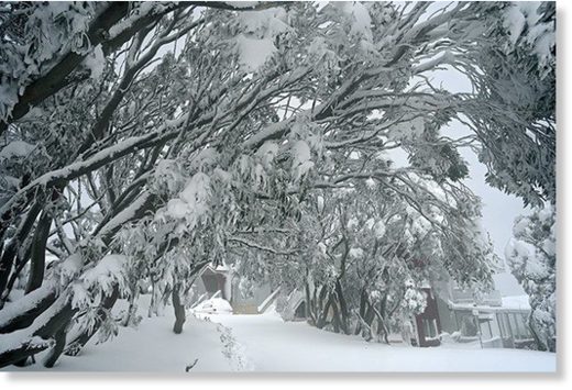 SNOW