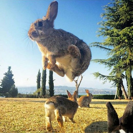 Quantum jumps