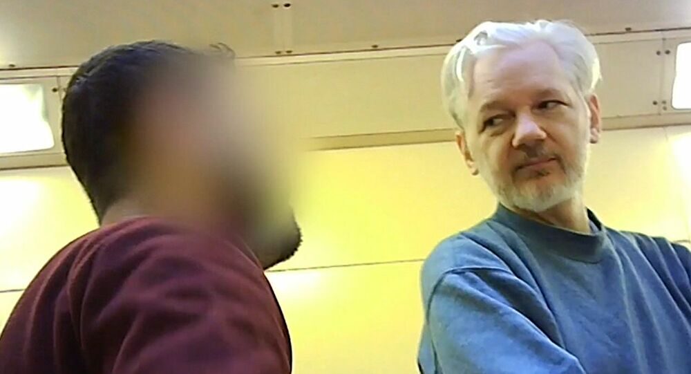 assange