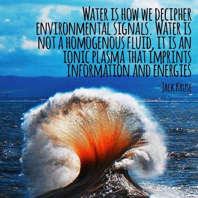 L'eau est le moyen par lequel nous déchiffrons les signaux environnementaux. L'eau n'est pas un fluide homogène, c'est un plasma ionique qui imprime des informations et des énergies.