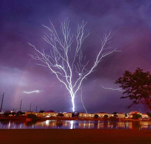 Tree of Light