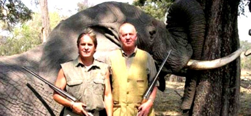 Juan Carlos, Espagne, elephant