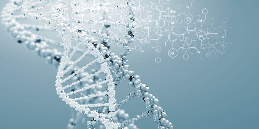 ADN et ARN
