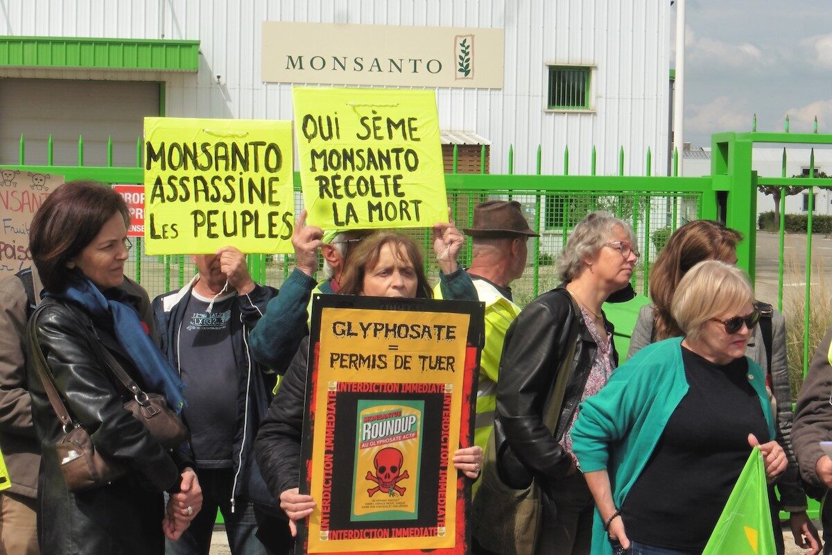 glyphosate