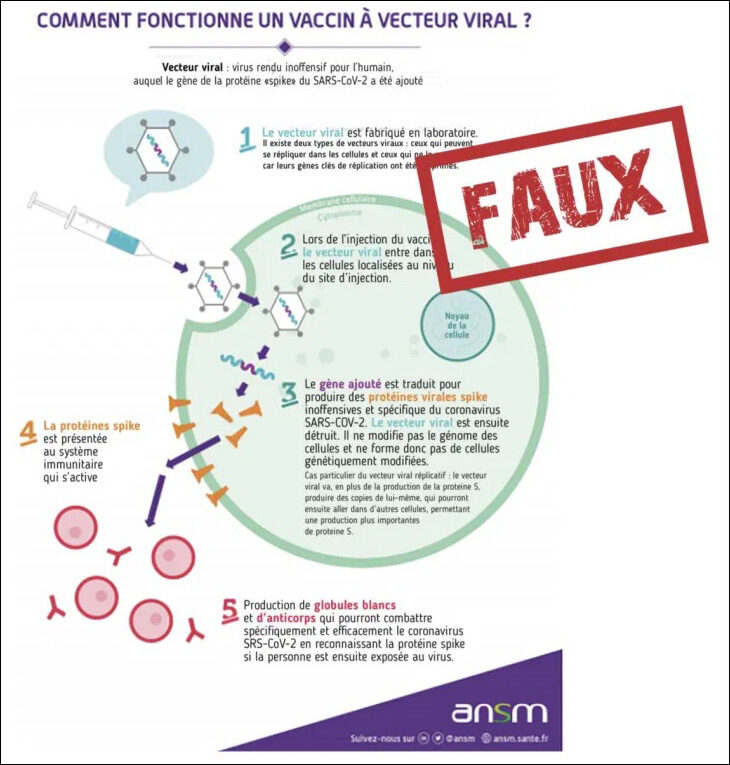 commnt fonctionne vaccin viral