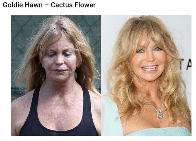 Goldie Hawn - Cactus Flower