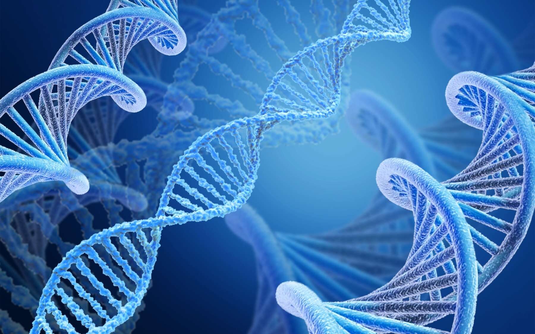 adn genome