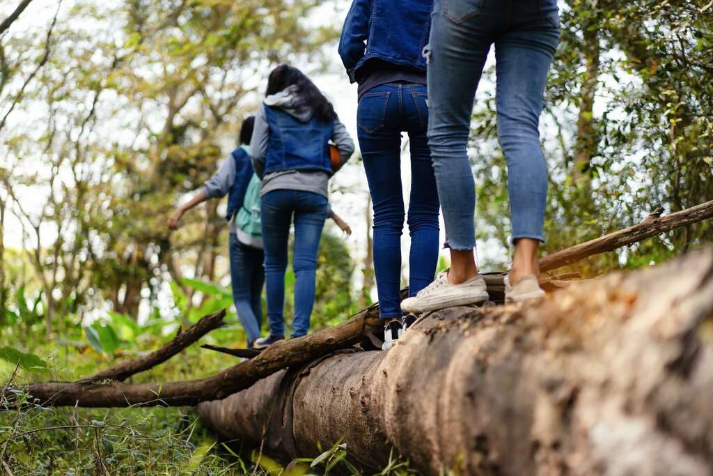 marche sur un arbre