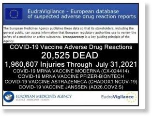 Les pseudovaccins anticovid (injections géniques) ne protègent ni les vaccinés, ni leurs contacts Eudravigilance_2_AOUT_300x224