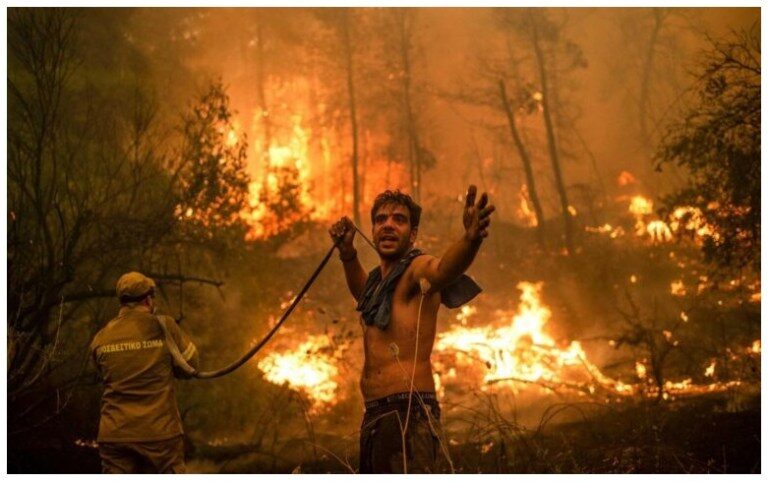 Cliquer pour agrandir feu foret
