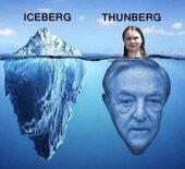 iceberg thunberg